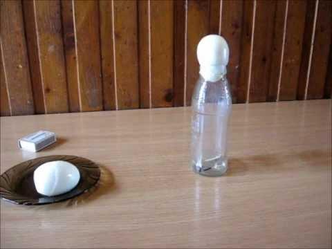 Eksperyment z jajkiem