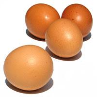 Jak przechowywać jaja