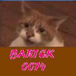 Bartek0074