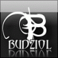 Budziol
