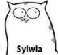 Awatar użytkownika Sylwia