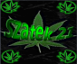 szatek11
