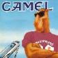 Awatar użytkownika camel1010
