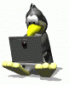 michal_sw