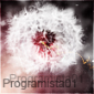 programista01