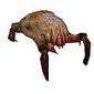 Headcrab_Productions