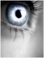 Awatar użytkownika silver_eye