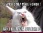 Awatar użytkownika hara223