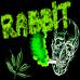 Awatar użytkownika Rabbit_HD